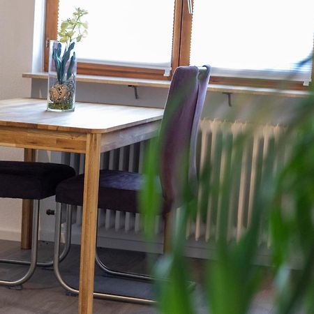 Ferienwohnung Schott Kippenheim Esterno foto