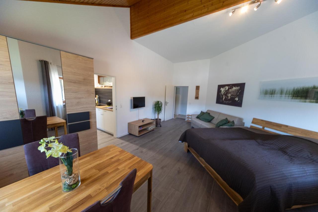Ferienwohnung Schott Kippenheim Esterno foto
