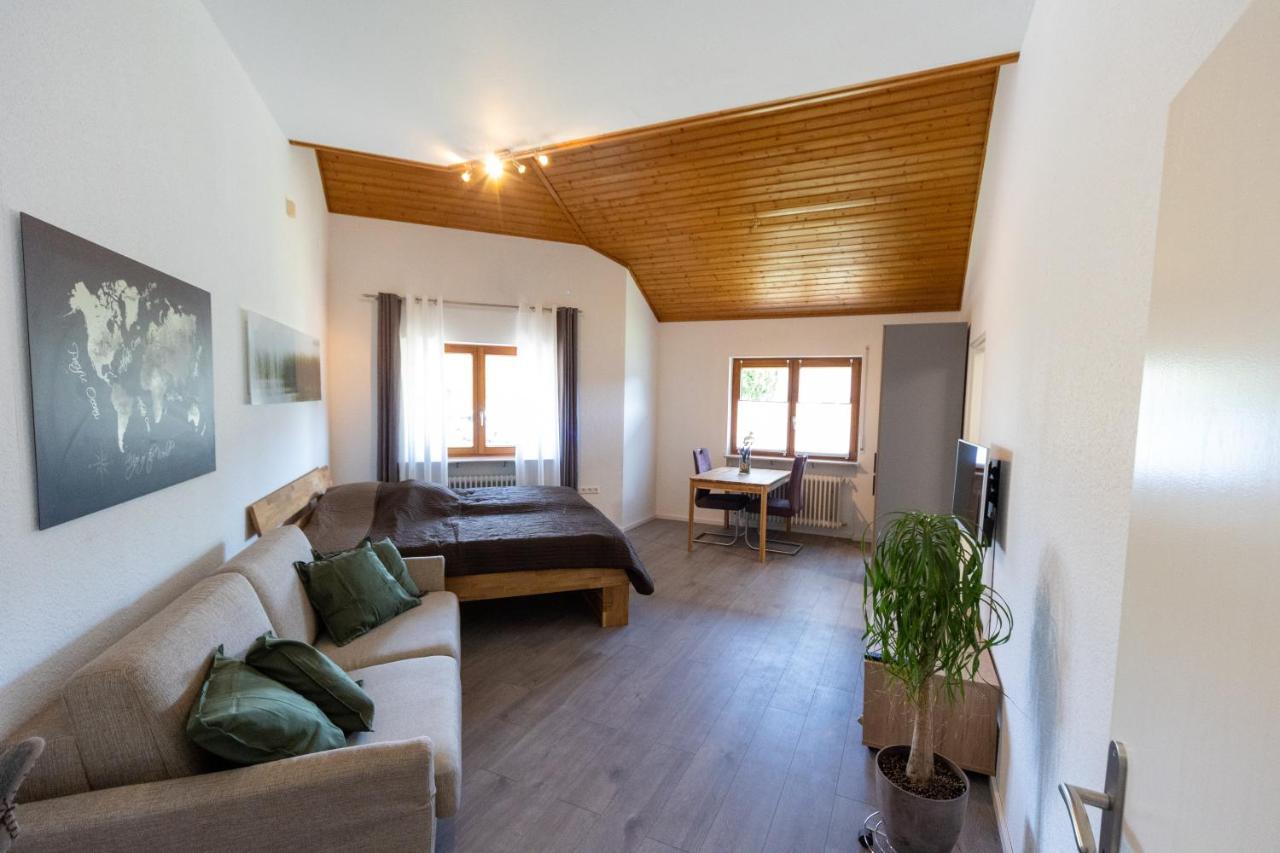 Ferienwohnung Schott Kippenheim Esterno foto